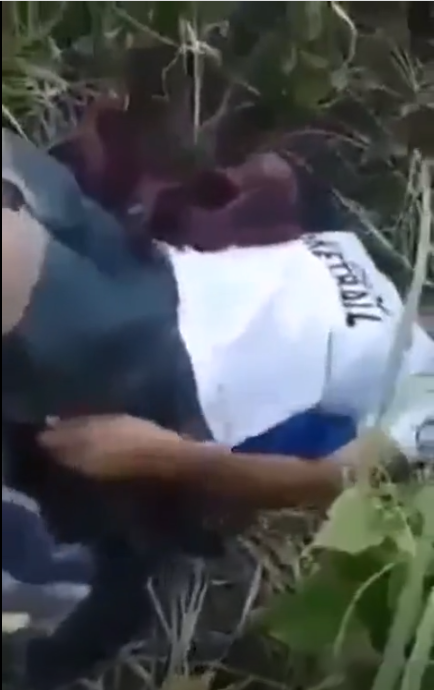 ngewe di semak semak