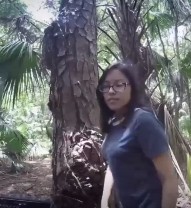 ngewe sama ayang di kebon sawit