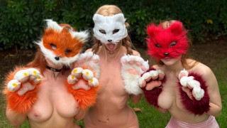 Quadrobers – Who Are They